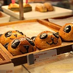 IMG_1639