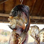 IMG_1812