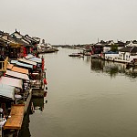 IMG_2265