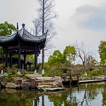 IMG_2336