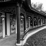 IMG_2354