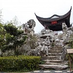 IMG_2362