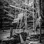 IMG_2381