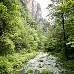 IMG_2405