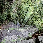 IMG_2484