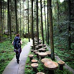 IMG_2589