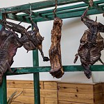 IMG_2610