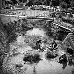 IMG_2774