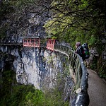 IMG_2818