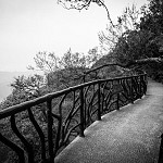IMG_2853