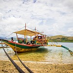 IMG_2923
