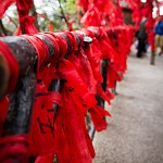 IMG_2943