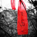 IMG_2960