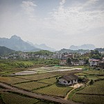 IMG_3005