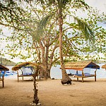 IMG_3006