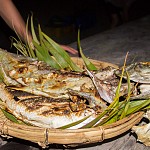 IMG_3031