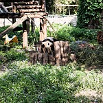 IMG_3074