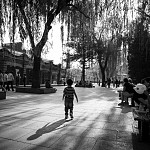 IMG_3084