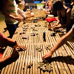 IMG_3141