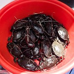 IMG_3190