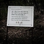 IMG_3191