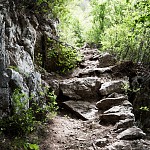 IMG_3192