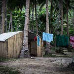 IMG_3241