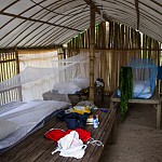 IMG_3242