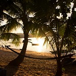 IMG_3248