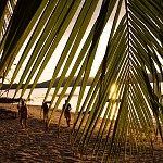 IMG_3250