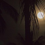 IMG_3266