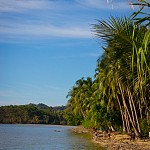 IMG_3294