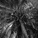 IMG_3295