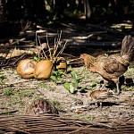 IMG_3297