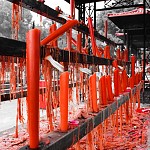 IMG_3829