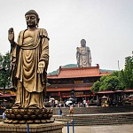IMG_3871