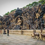 IMG_3884