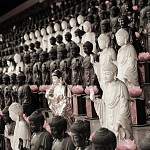 IMG_3923