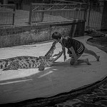 IMG_4410