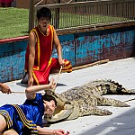 IMG_4441