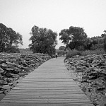 IMG_4485