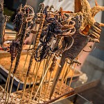 IMG_4595