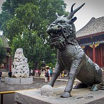 IMG_4636