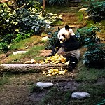 Hongkong9