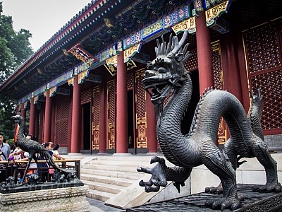 Shanghai31