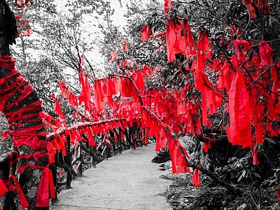 Shanghai6
